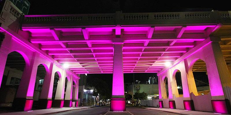 William Jolly Bridge, Brisbane